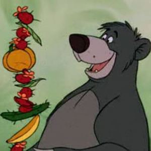 Fundraising Page: Sam Diedesch